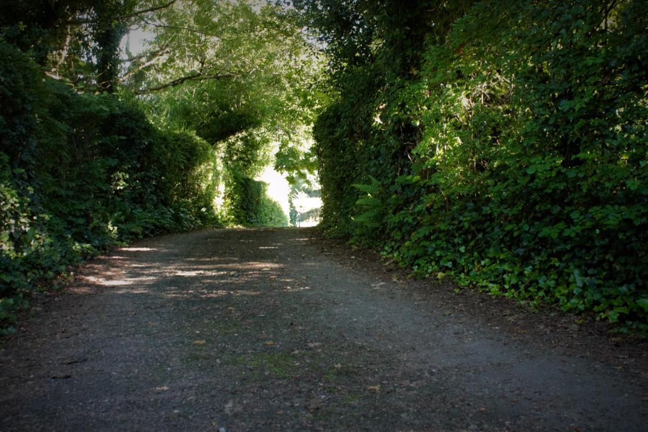 Remarkable Apartment In Kenmare Ireland Luaran gambar